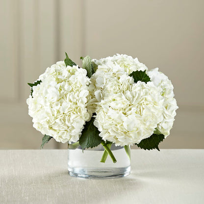 White Hydrangea Bouquet –  Lulus Petals, Farmington NM