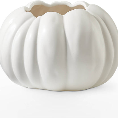 Pumpkin to Talk About Bouquet –  Lulus Petals, Farmington NM